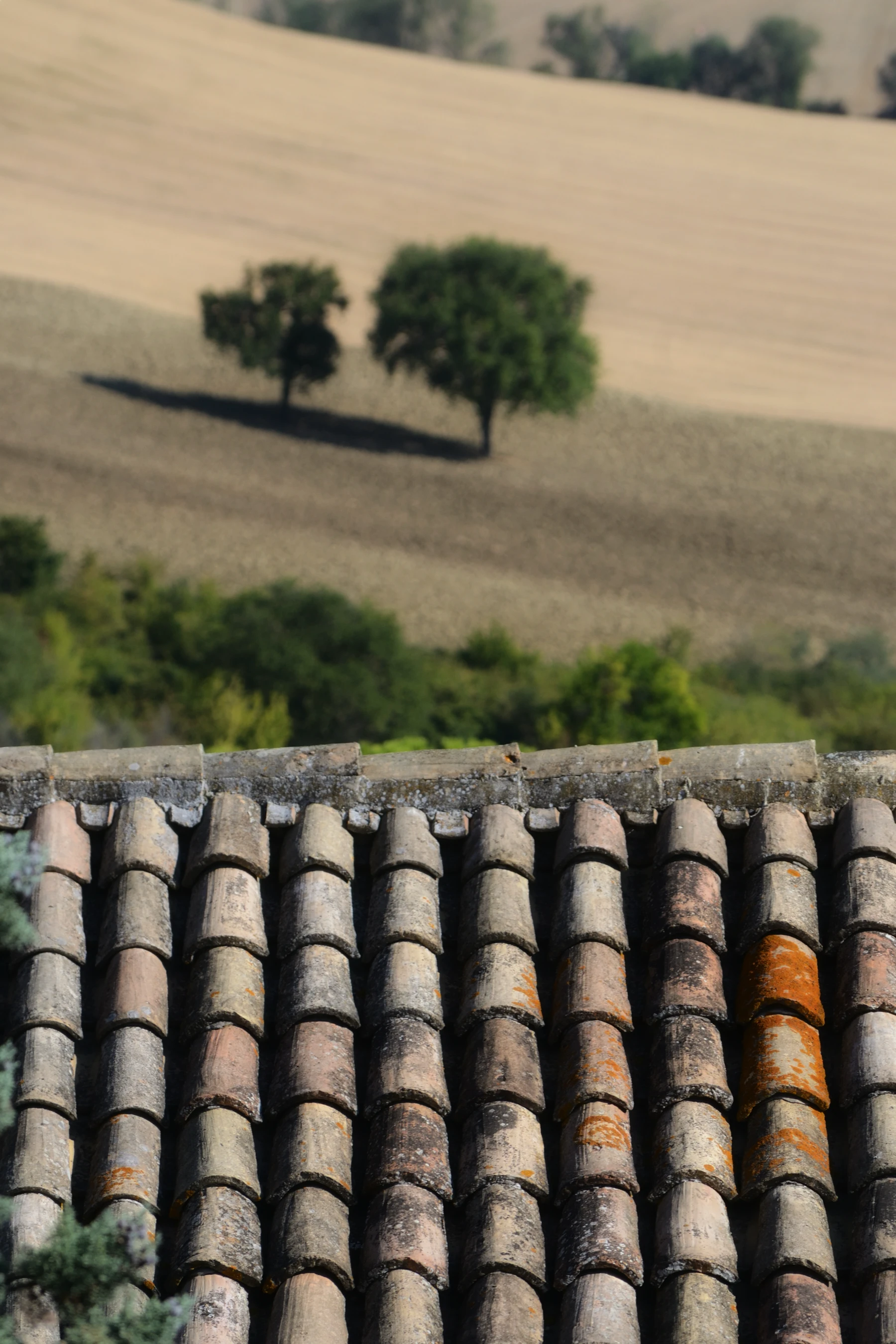 Reparación de Tejados